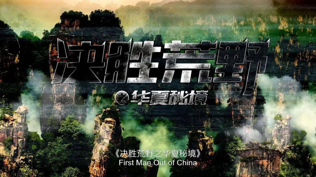 寻找萌宠松鼠