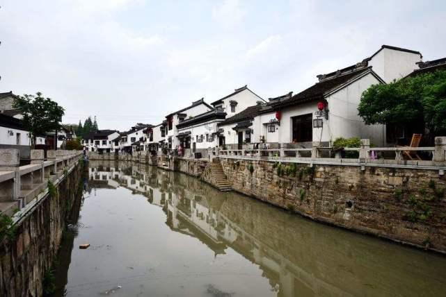 强大的狮子拼图